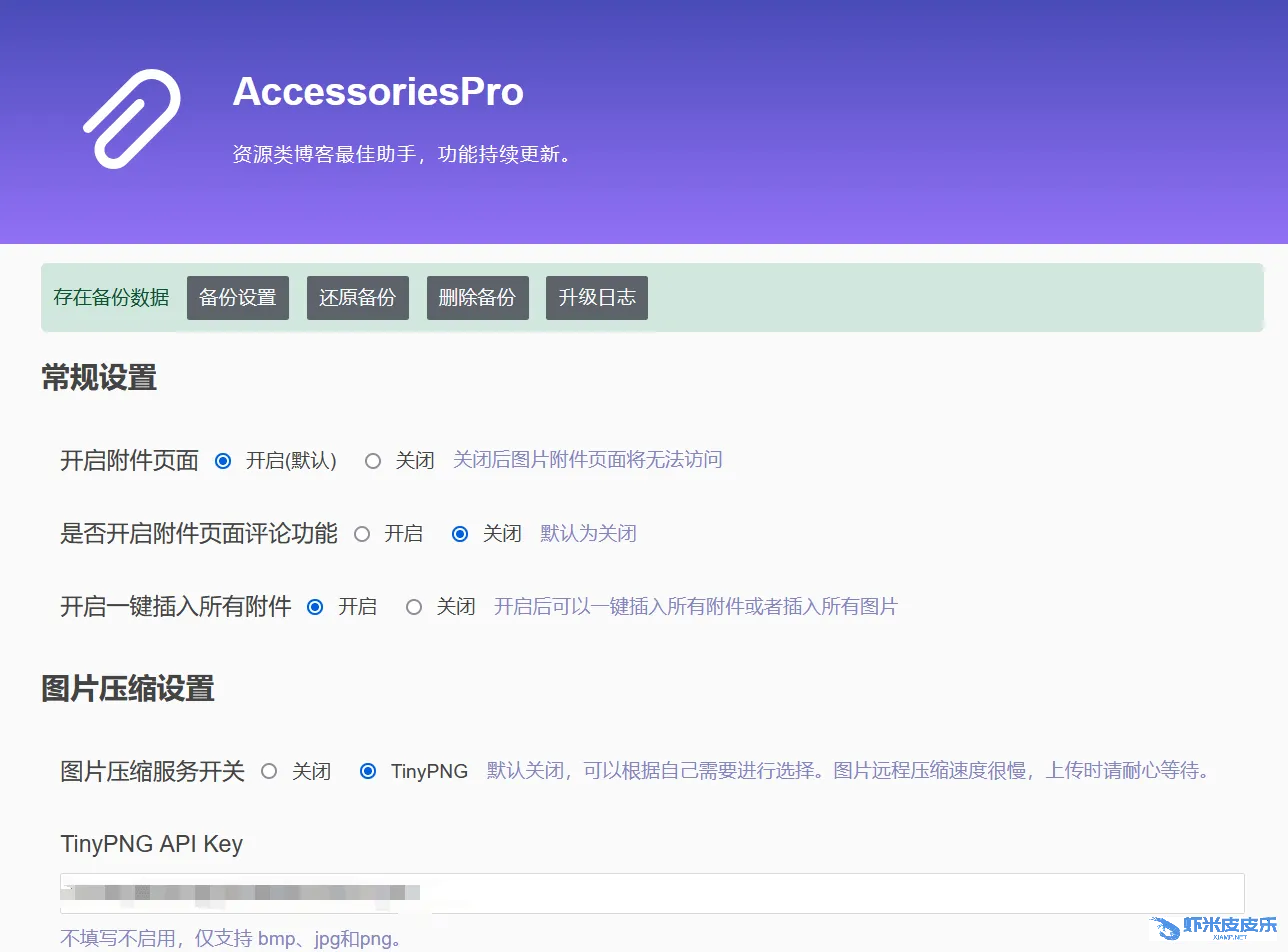 AccessoriesPro设置预览.png